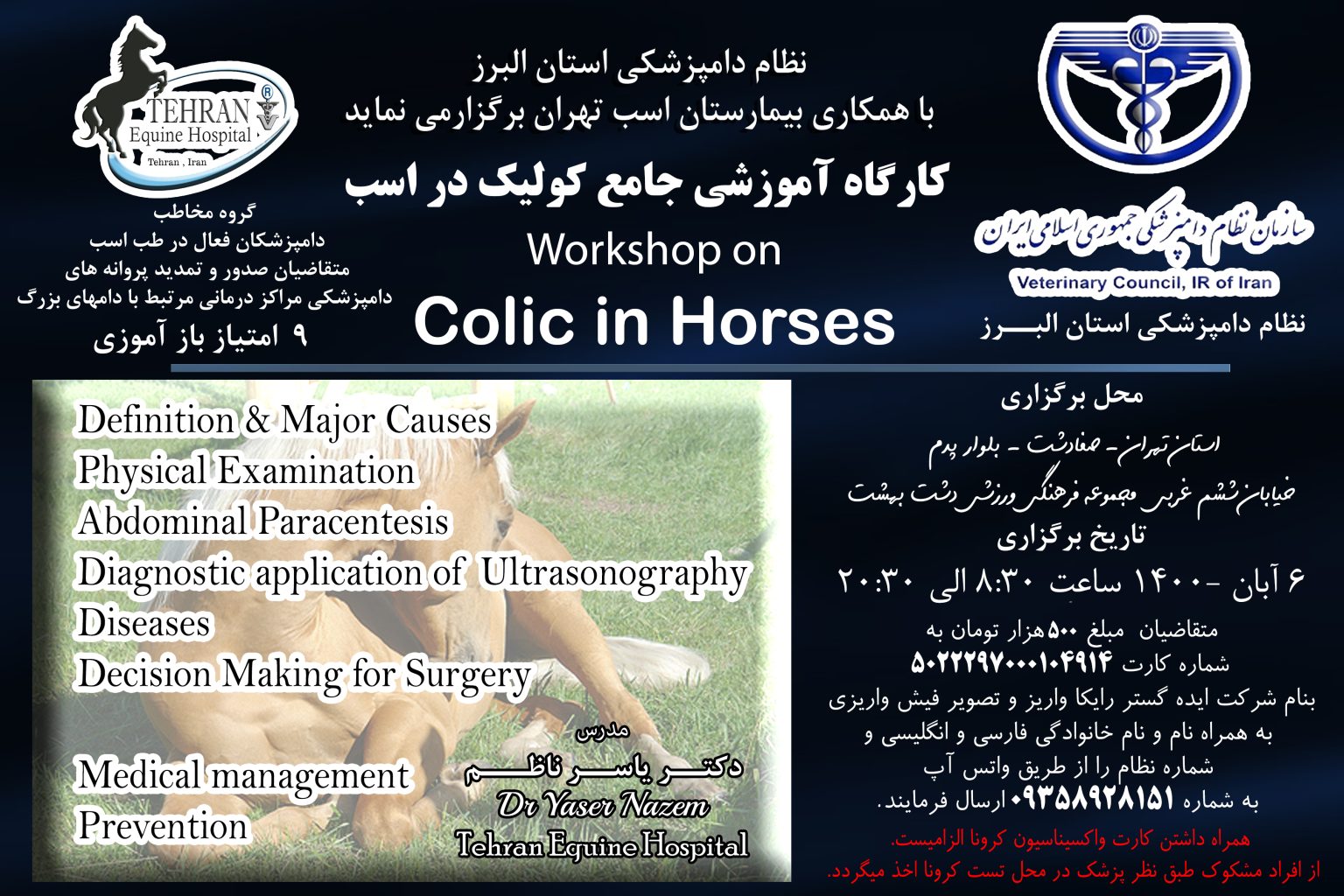 Right dorsal displacement of Large colon in the Mare Tehran Equine