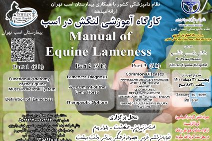 Workshop: Manual of Equine Lameness