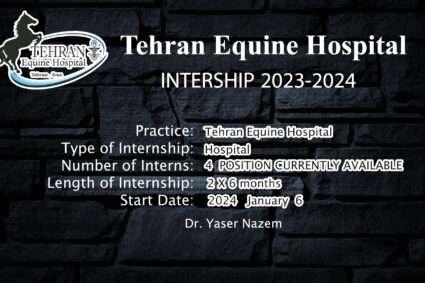 TEHRAN EQUINE HOSPITAL INTERSHIP 2024