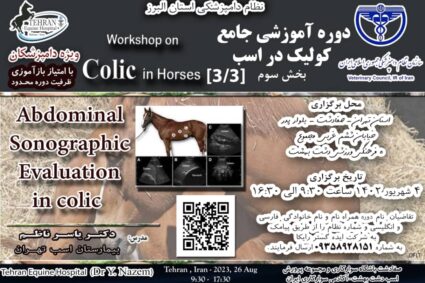 Workshop on:  Abdominal sonographic evaluation in Colic