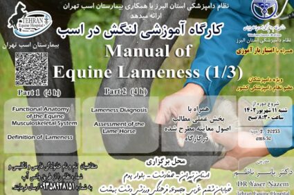 Workshop on: Manual of Equine Lameness (Part 2)