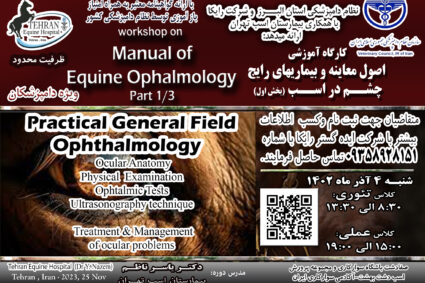 Workshop on: Manual of Equine Ophtalmology