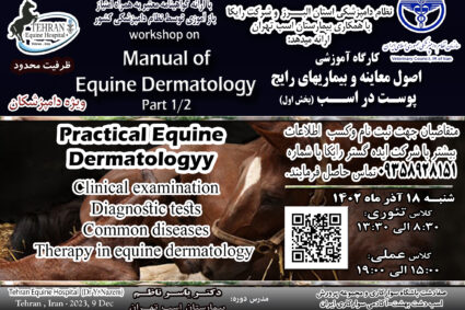 Workshop on: Manual of Equine Dermatology