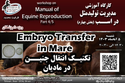 Workshop on Embryo transfer in Mares