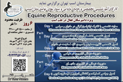 Workshop on Manual of Equine Reproduction & Reproductive procedures ( 6 days)