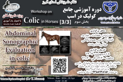 Workshop on Abdominal sonographic evaluation in Horses with Colic