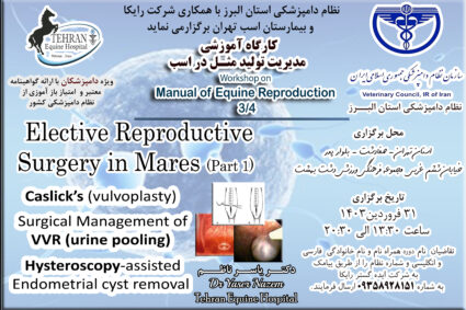 Workshop on Elective Reproductive Surgery in Mare (1/3)