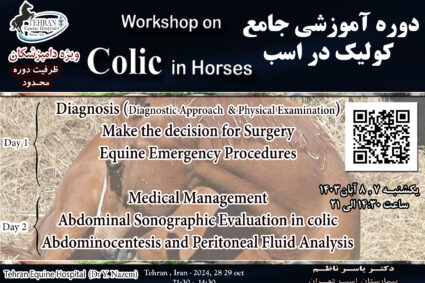 Workshop on Colic in horse (2 days)