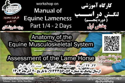 Workshop on ” Manual of Equine Lameness ” Part 1:  1. Anatomy of the Equine Musculoskeletal System  —– 2. Assessment of the Lame Horse