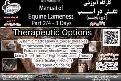 Workshop on ” Manual of Equine Lameness ” Part 2 : Therapeutic Options