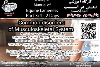 Workshop on ” Manual of Equine Lameness ” Part 3 : Common disorders of Musculoskeletal System