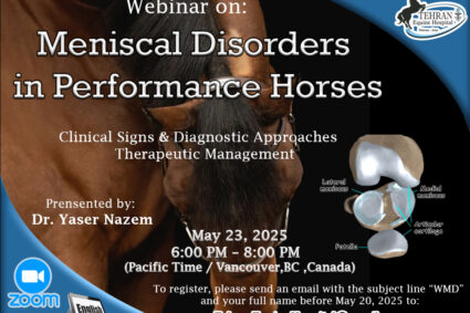 Webinar: Meniscal Disorders in Performance Horses