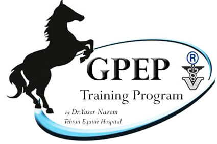 General Professional Equine Practitioner (GPEP Training System) Ver 1.1